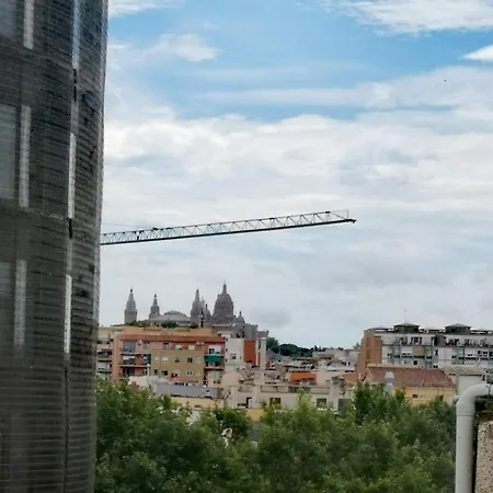 Alohpepa *