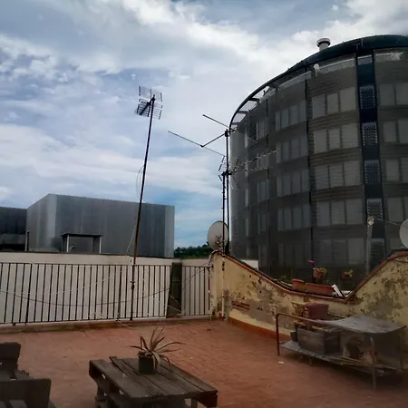 Alohpepa Kamp alanı Barselona