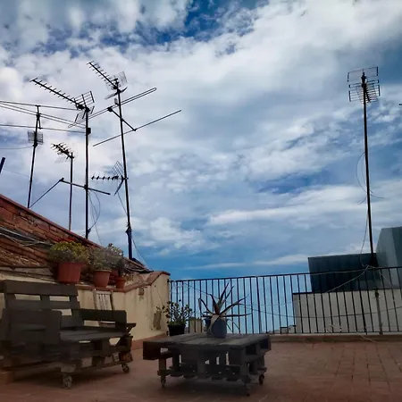 Alohpepa Kamp alanı