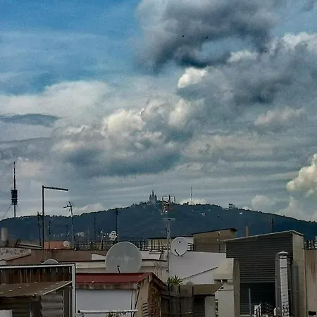 Kamp alanı Alohpepa *