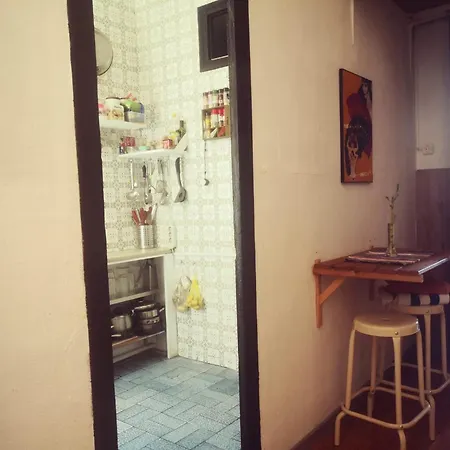 Kamp alanı Alohpepa *